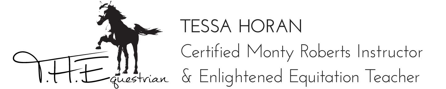 Tessa Horan Equestrian